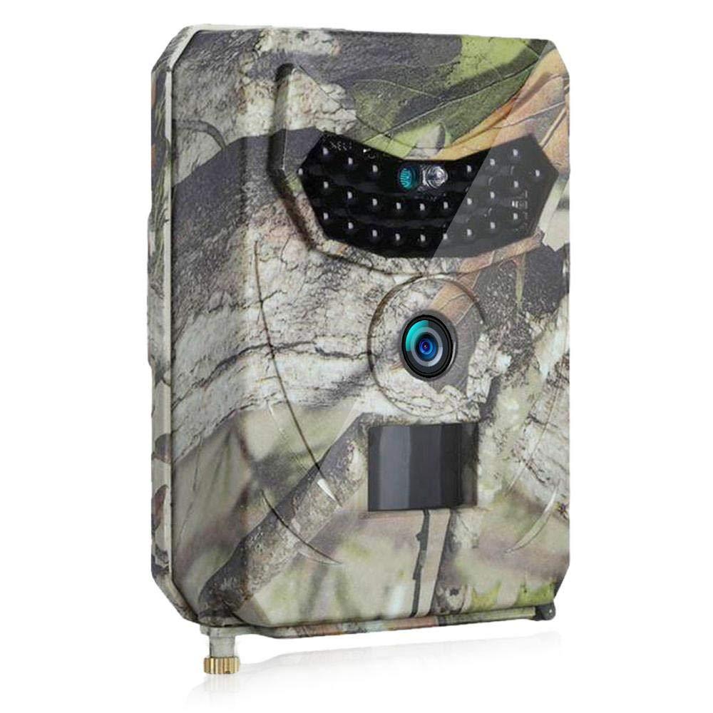 BowLift | Clear Vision Trail Camera