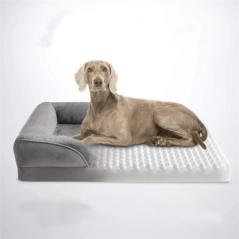 BowLift | COMFYPAW ORTHOBED – Orthopedic Dog Bed with Joint Relief Foam Mattress