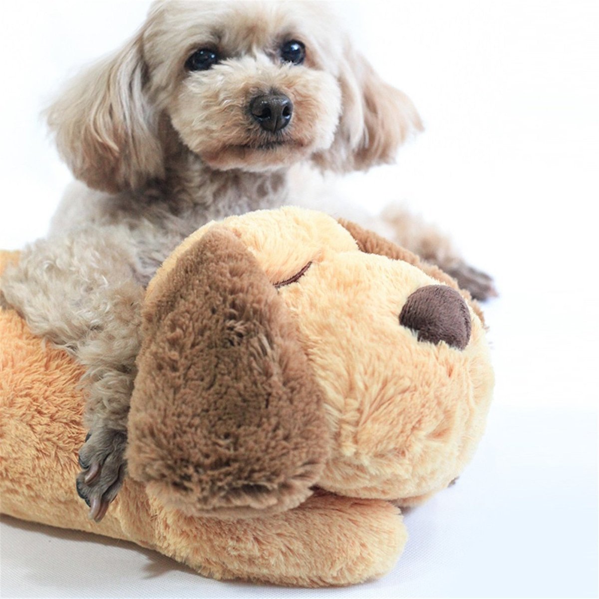 BowLift | CUDDLEPUP – Plush Puppy Toy with Heartbeat Simulator for Comfort & Calm