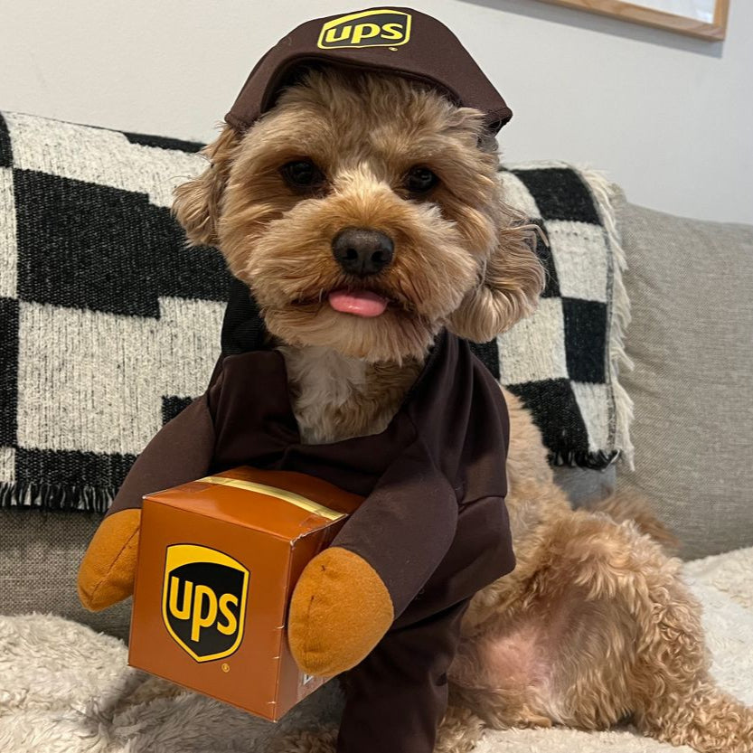 BowLift | Halloween Dog Costume Delivery Outfit