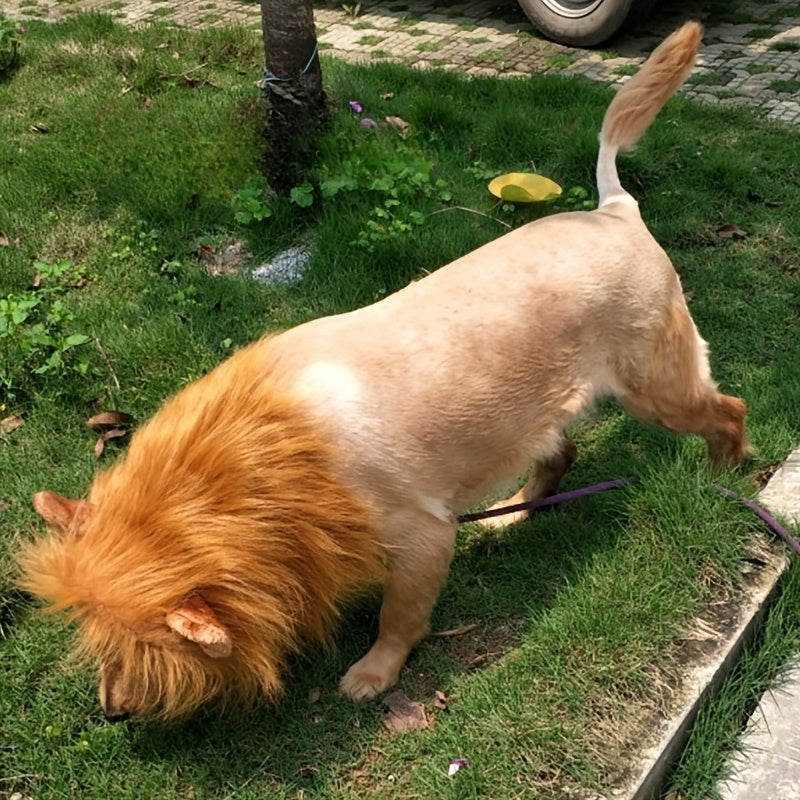 BowLift | Dog Realistic Lion Mane Halloween Costume | Adjustable Lightweight