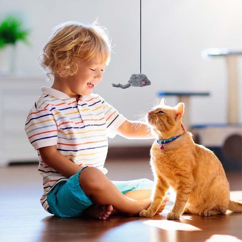 BowLift | Hanging Door Bouncing Mouse Cat Toy