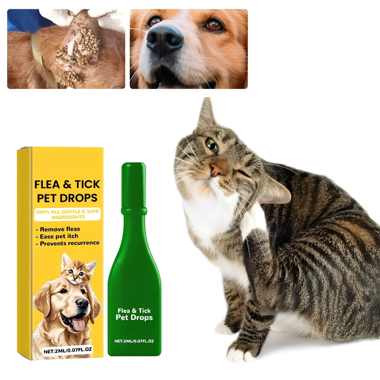 BowLift | Cat Flea Treatment At Home