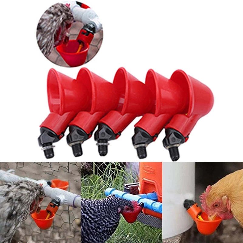 BowLift | Automatic Chicken Water Cup Bird Coop
