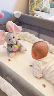 BowLift | Hide and Seek Elephant Plush Toy