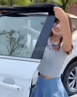 BowLift | Car Window UV Sunshade Curtains