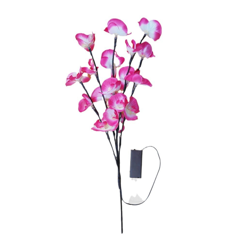 BowLift | FairyOlive - Enchanted Lamp with Olive Branch