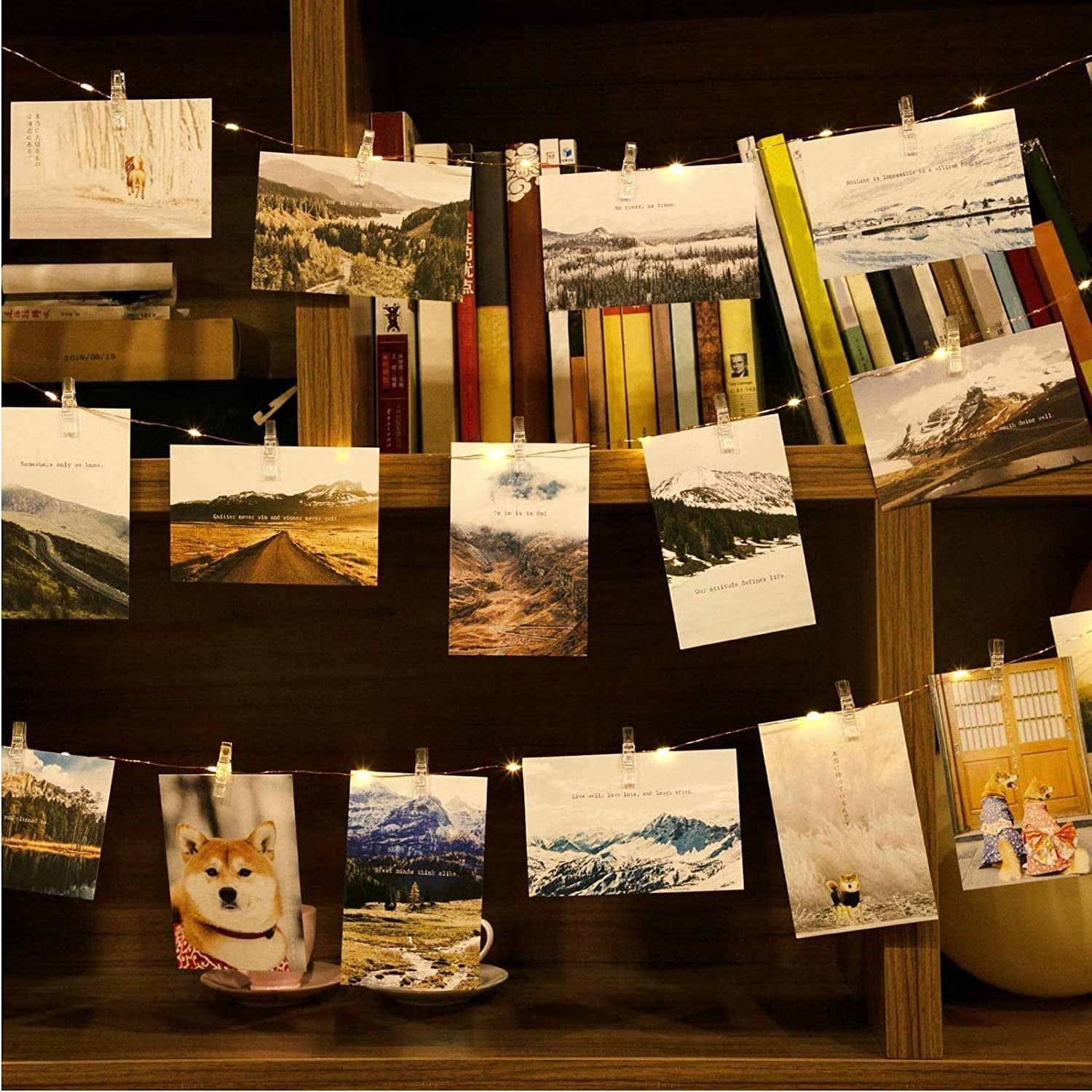 BowLift | Fairy Clip Light