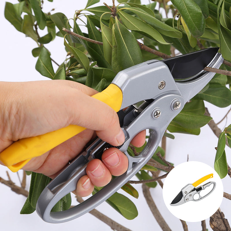 BowLift | Professional Scissors Garden Hedge Trimmer
