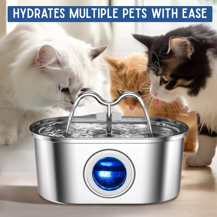 BowLift | Pet Water Fountain | Silent Operation, Durable Stainless Steel & Ideal for Cats and Dogs