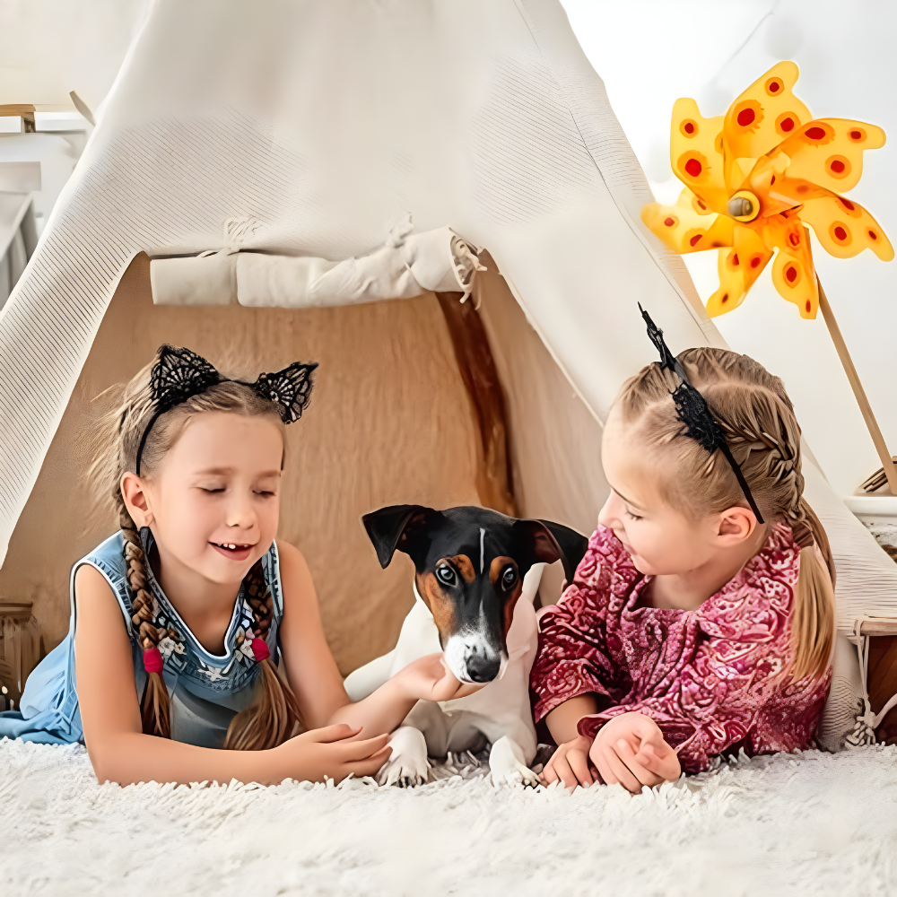 BowLift | Indoor Camera Wireless Home HD Small CCTV Security Hidden Spy Nanny Cam