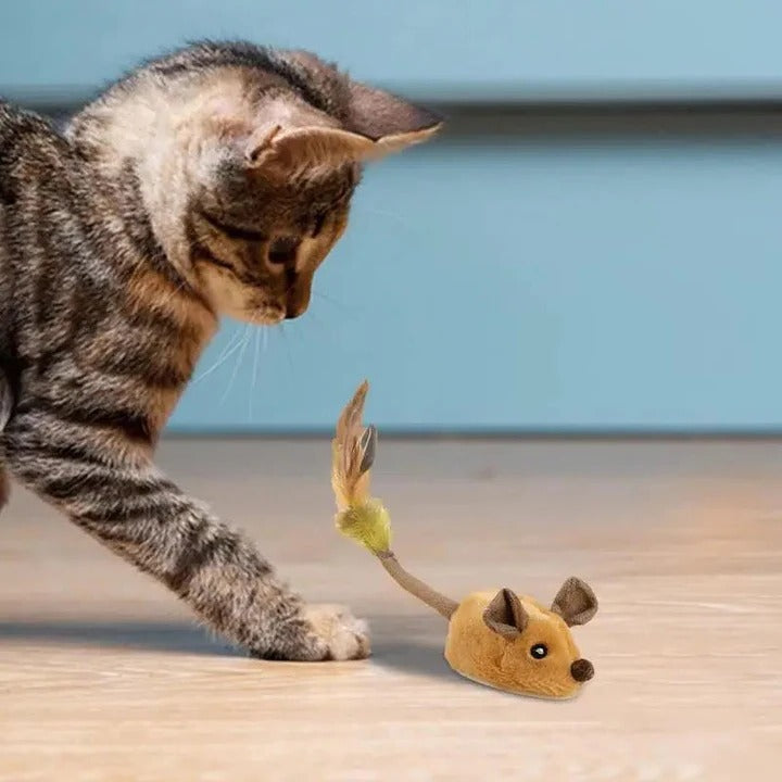 BowLift | Intelligent Mouse Toy