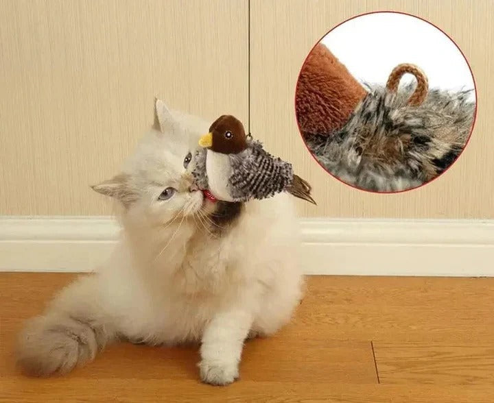 BowLift | Interactive Sound Bird Cat and Dog Toy