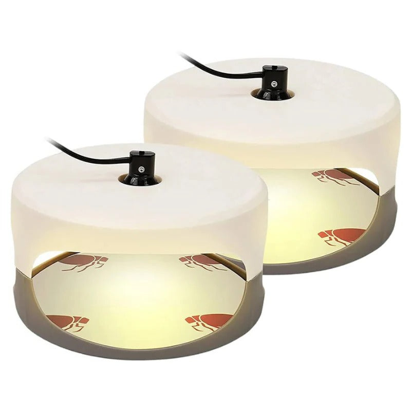 BowLift | Indoor Bed Bug Trap and Catcher with Sticky Pads