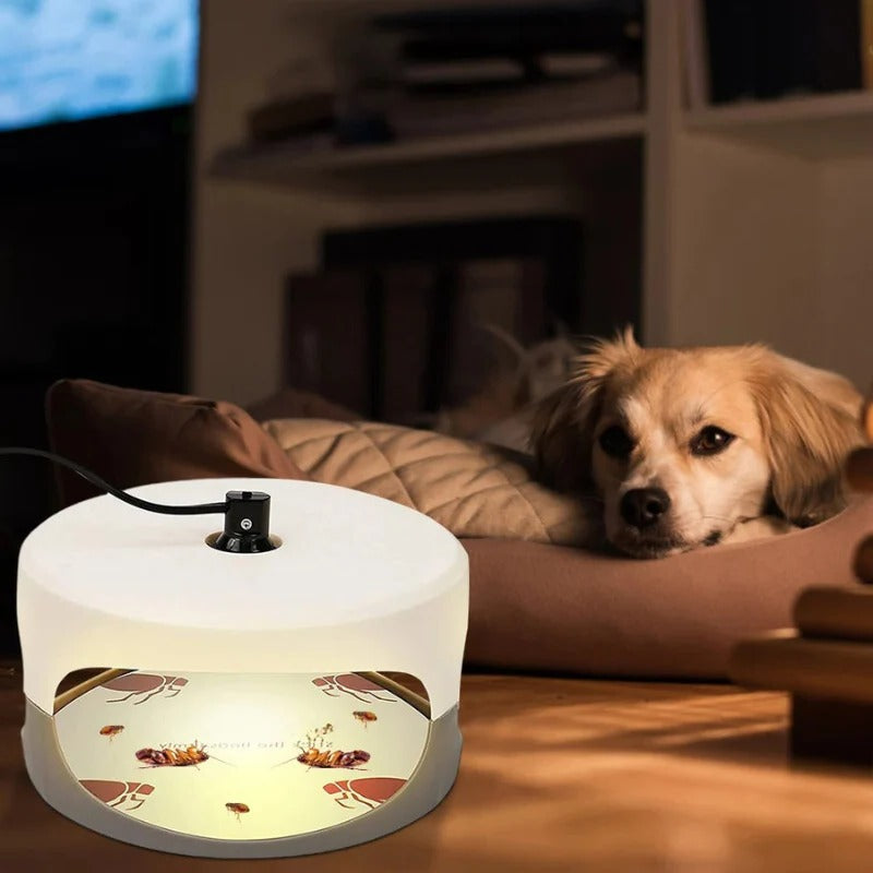 BowLift | Indoor Bed Bug Trap and Catcher with Sticky Pads