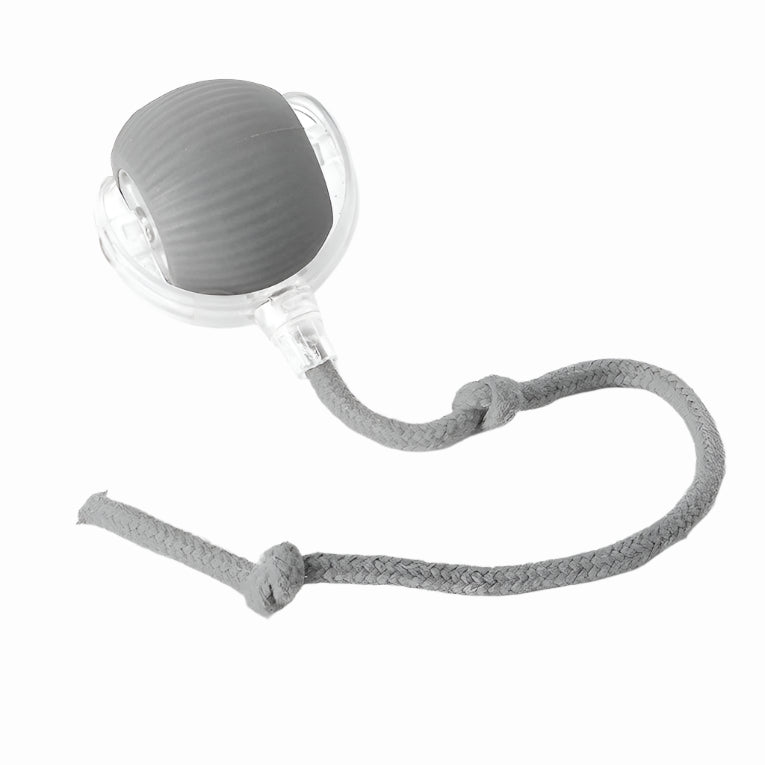 BowLift | Active Rolling Ball with Tail for Dogs