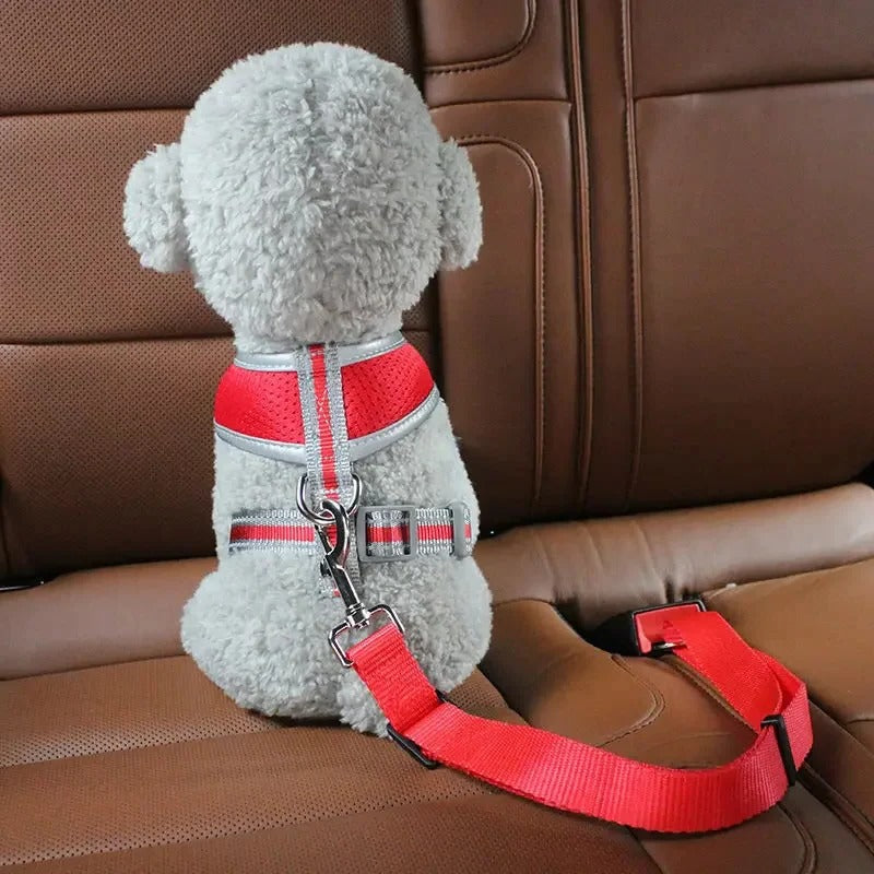 BowLift | Adjustable Dog Seat Belt