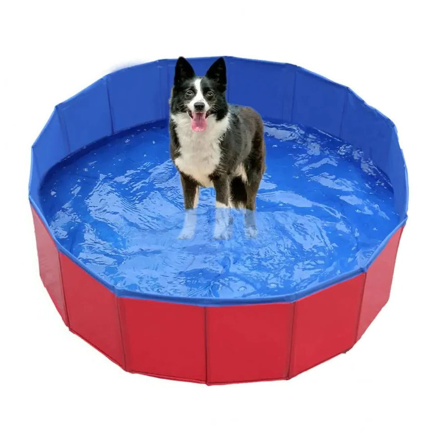 BowLift | Foldable Dog Pool