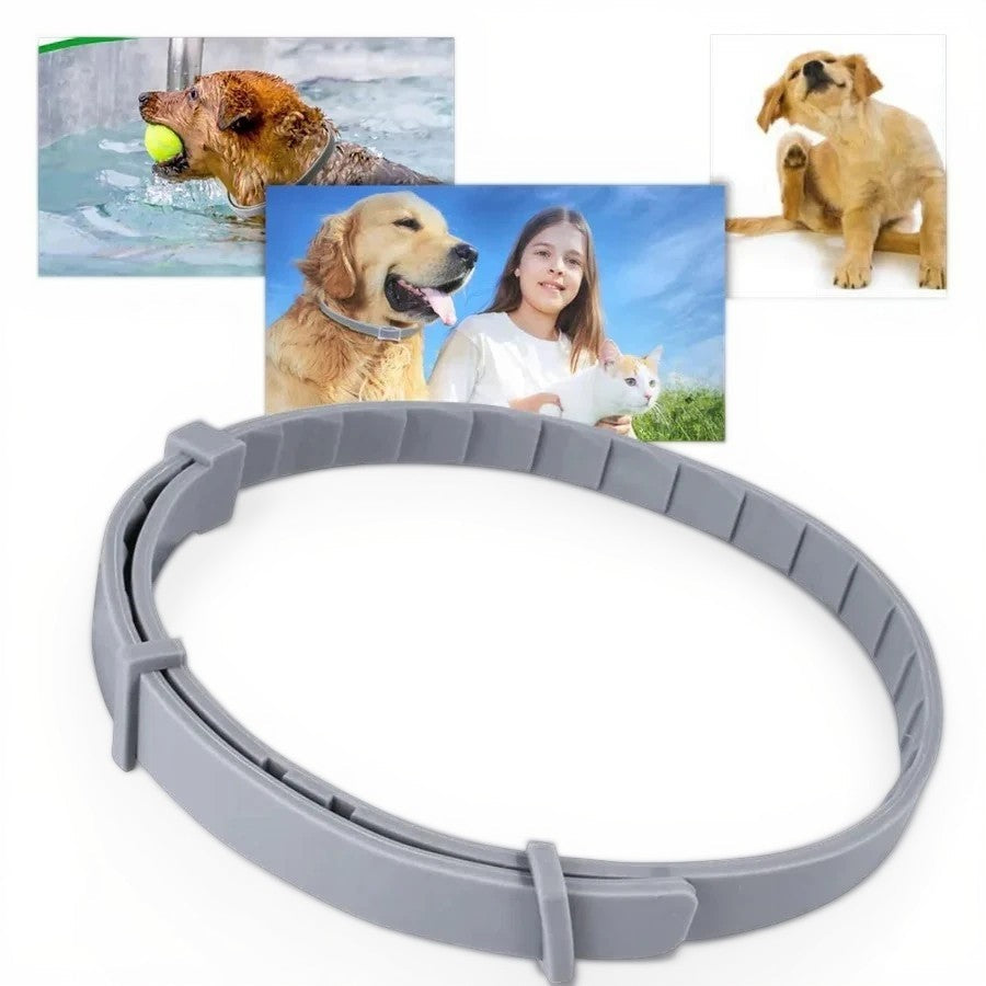 BowLift | Adjustable Pet Flea and Tick Repellent Collar – For Dogs and Cats, Water-Resistant