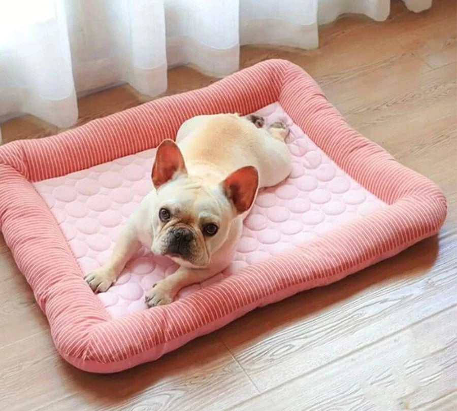BowLift | Cooling Dog Bed with Ice Silk Material