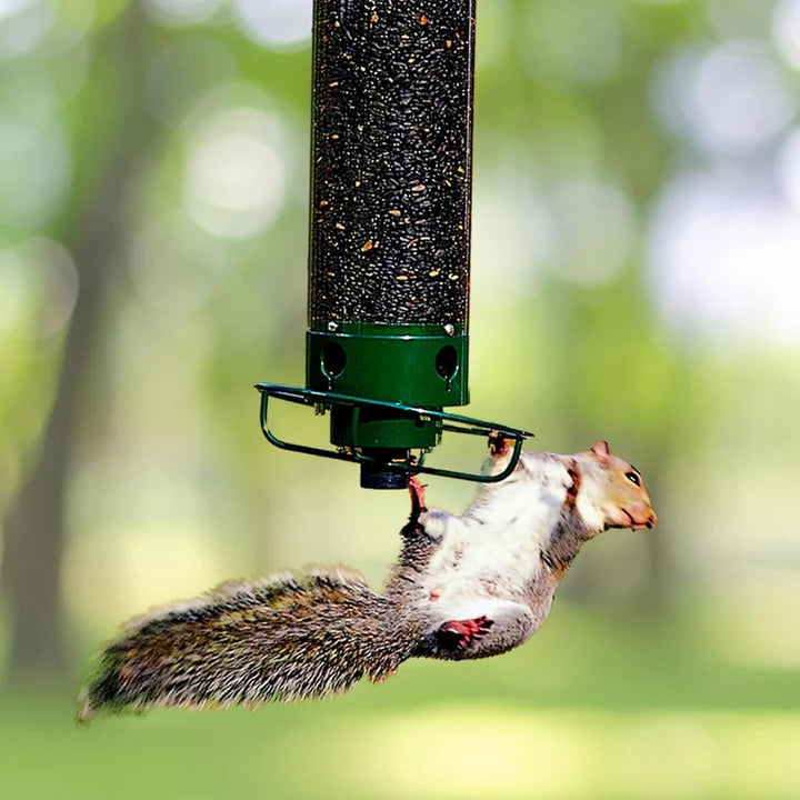 BowLift | Durable Metal Bird Feeder with Cage Design to Deter Squirrels