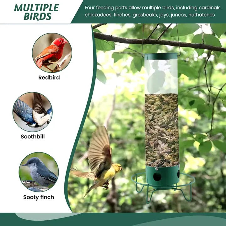 BowLift | Durable Metal Bird Feeder with Cage Design to Deter Squirrels