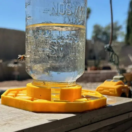 BowLift | HiveDrink Hydrates Pollinator Life