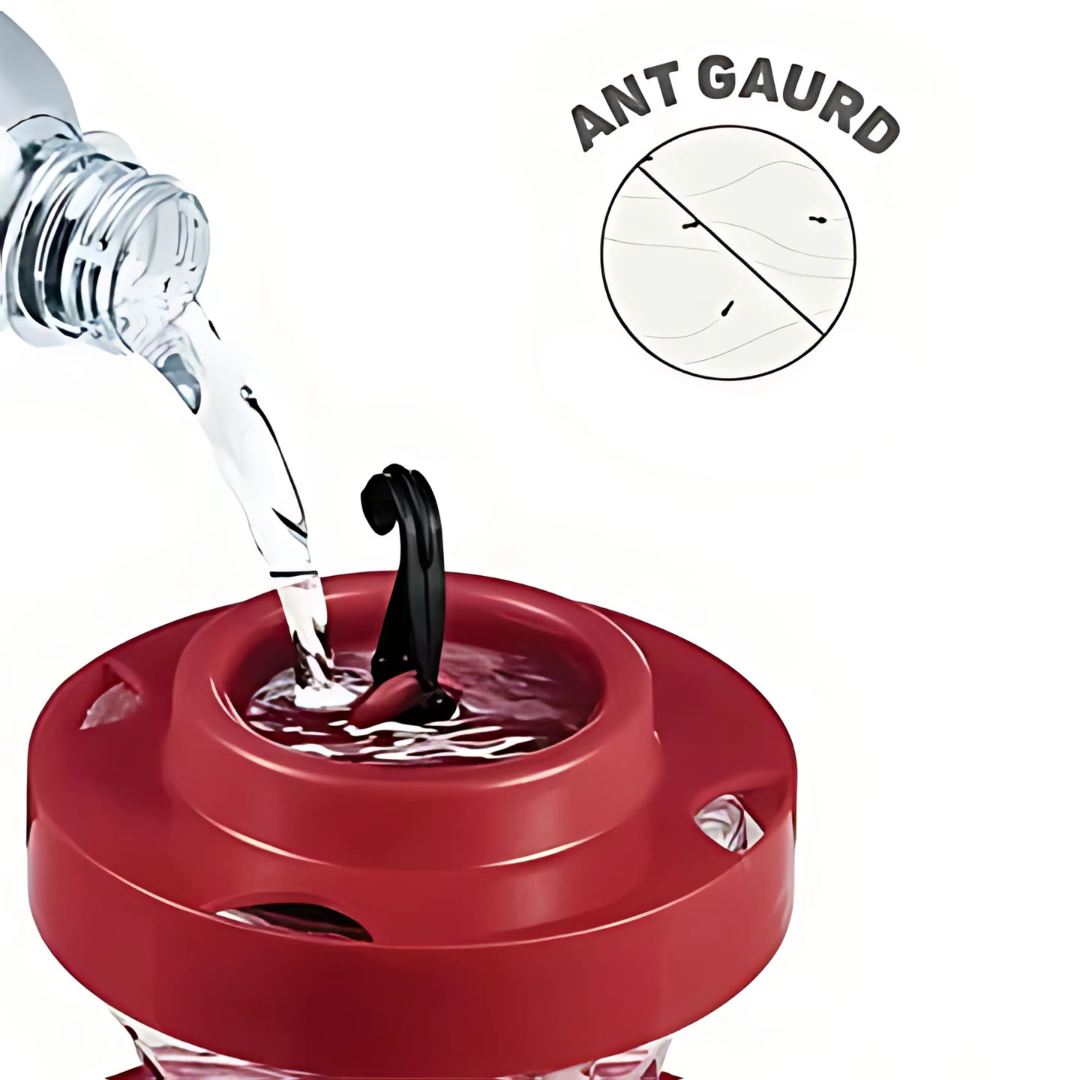 BowLift | Hanging Hummingbird Nectar Feeder