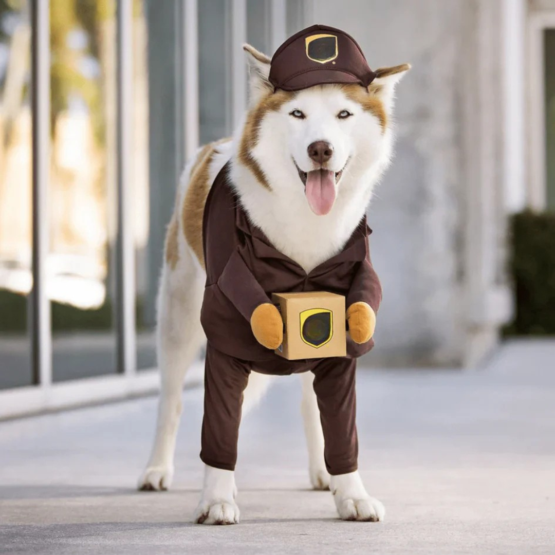 BowLift | Halloween Dog Costume Delivery Outfit
