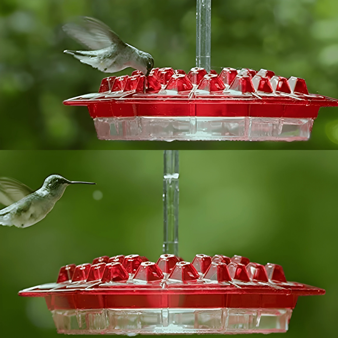 BowLift | Garden Hanging Hummingbird Feeder