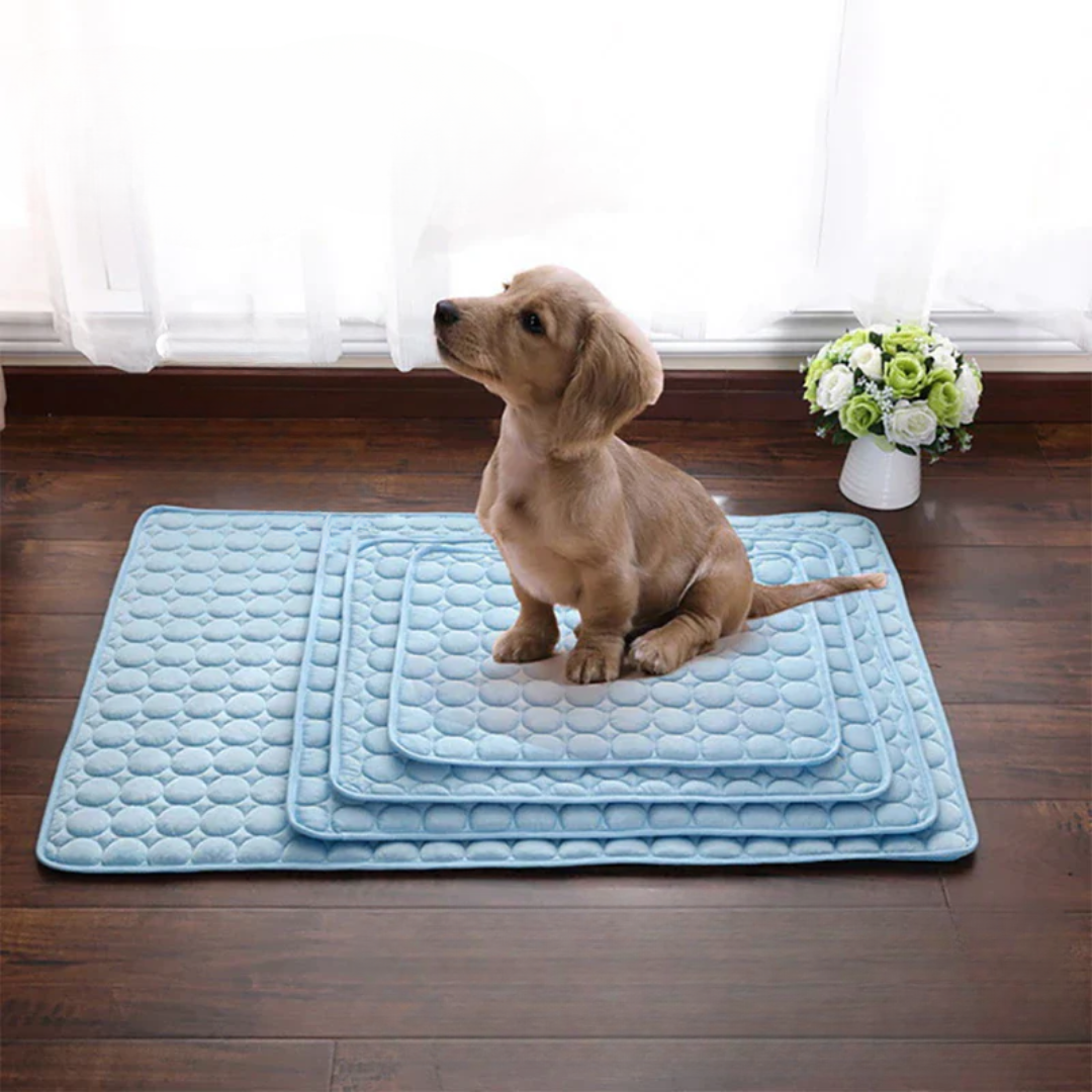 BowLift | Cooling Dog Mat Summer Heat Relief