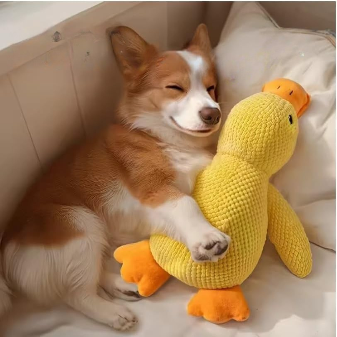 BowLift | Dog Toy Plush Duck Mental Stimulation