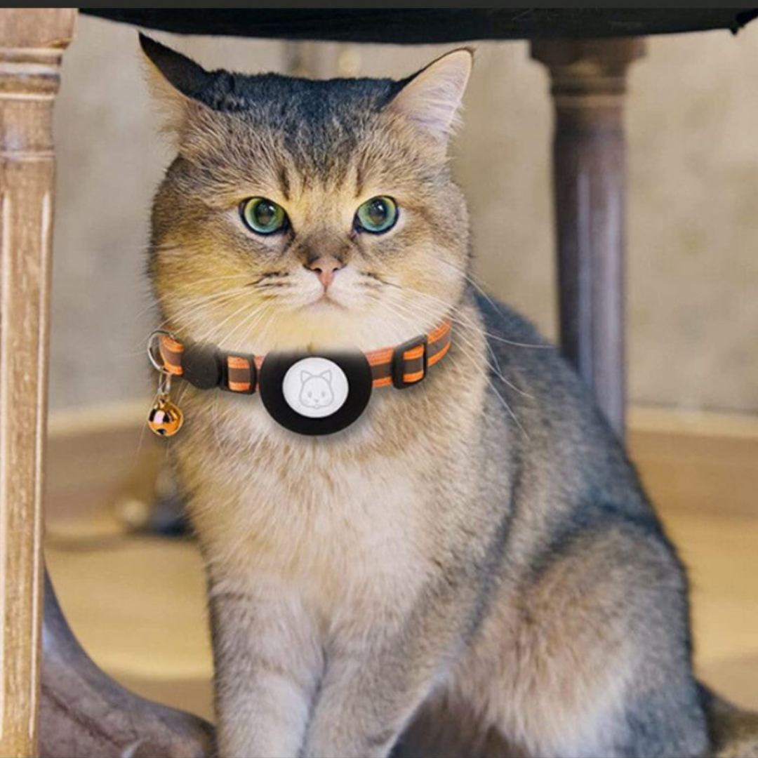 BowLift | Cat Collar With Bell And GPS Tracker Holder
