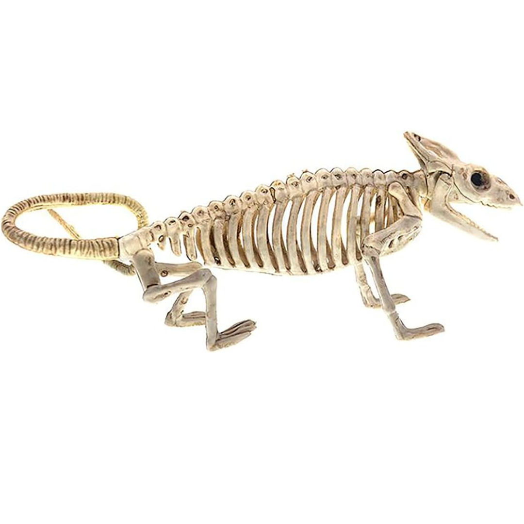 BowLift | Wall Art Hanging Skeleton Bat Ornament