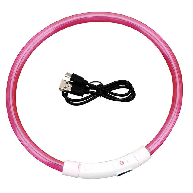BowLift | Light Up Dog Collar, USB Rechargeable LED Glowing Collar