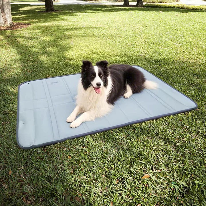 BowLift | Dog Bag for Travel