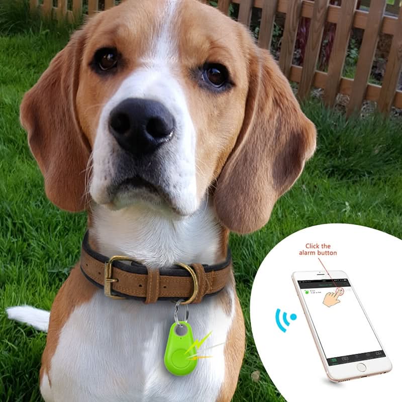 BowLift | GPS tracker for pets with real-time tracking & safety zones