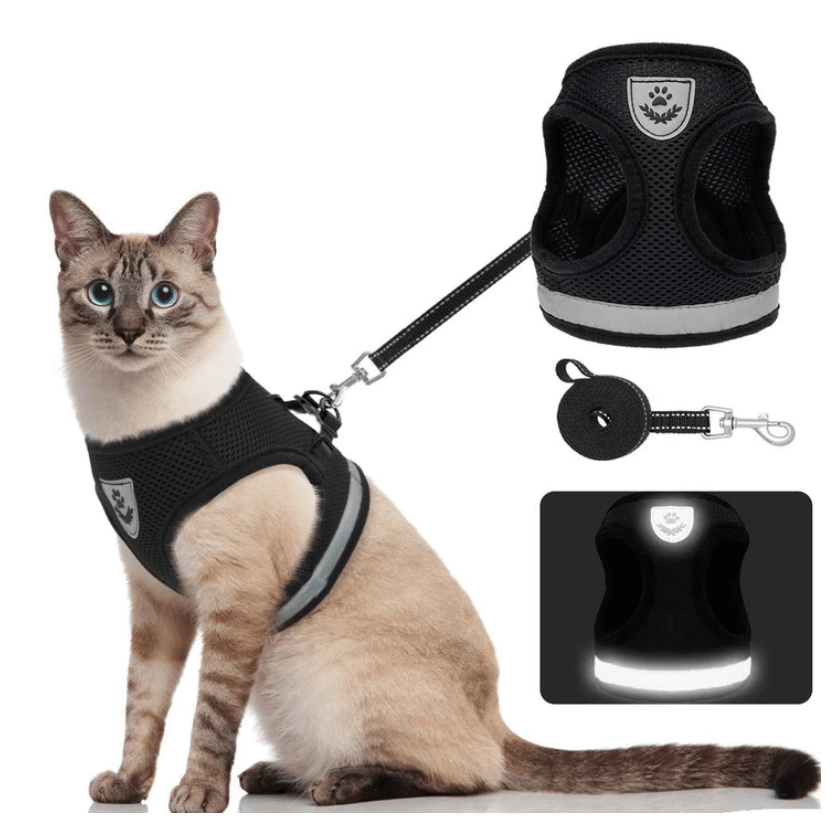 BowLift | Escape-proof cat harness with reflective details