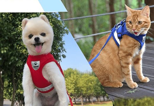 BowLift | ADVENTURE HARNESS – Escape-proof cat harness with leash & reflective elements