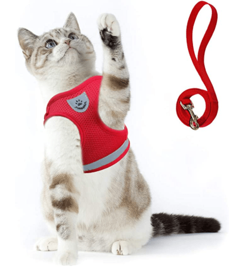 BowLift | Escape-proof cat harness with reflective details