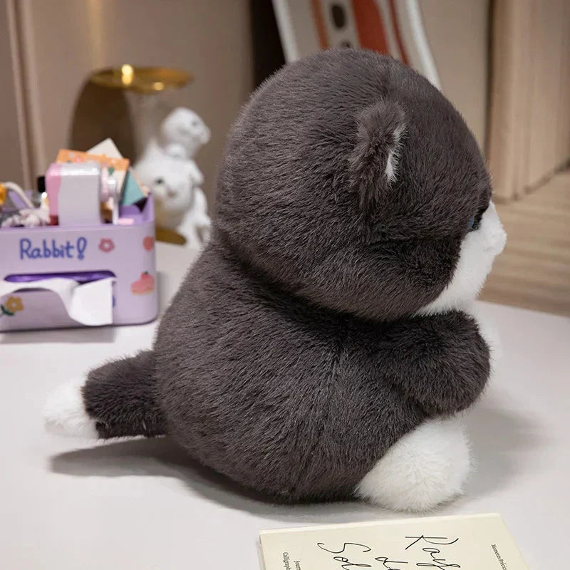 BowLift | Cute Chubby Gray Ginger Cat Plushies