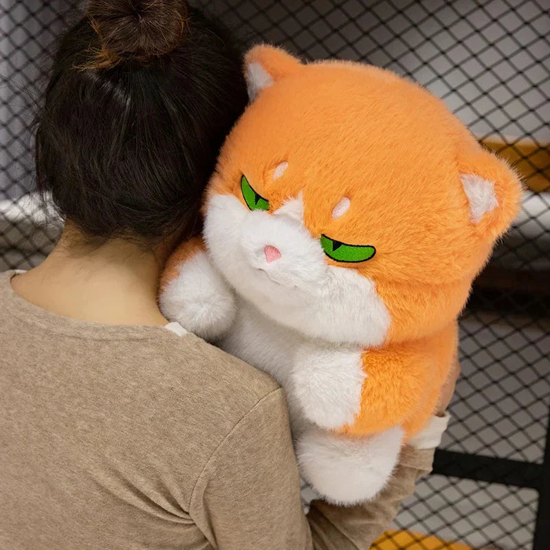 BowLift | Cute Chubby Gray Ginger Cat Plushies