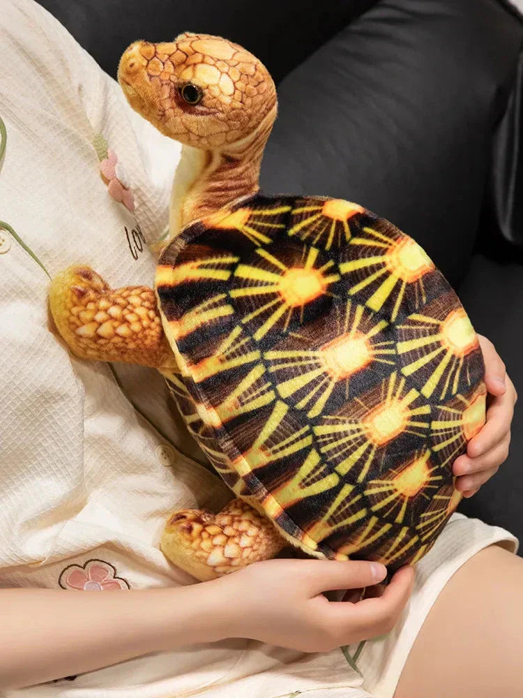 BowLift | Cute Life Like Tortoise Plushie