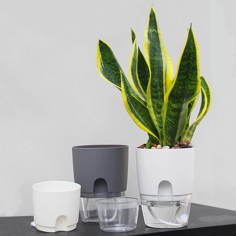 BowLift | Self-watering Plant Pot with Water Container
