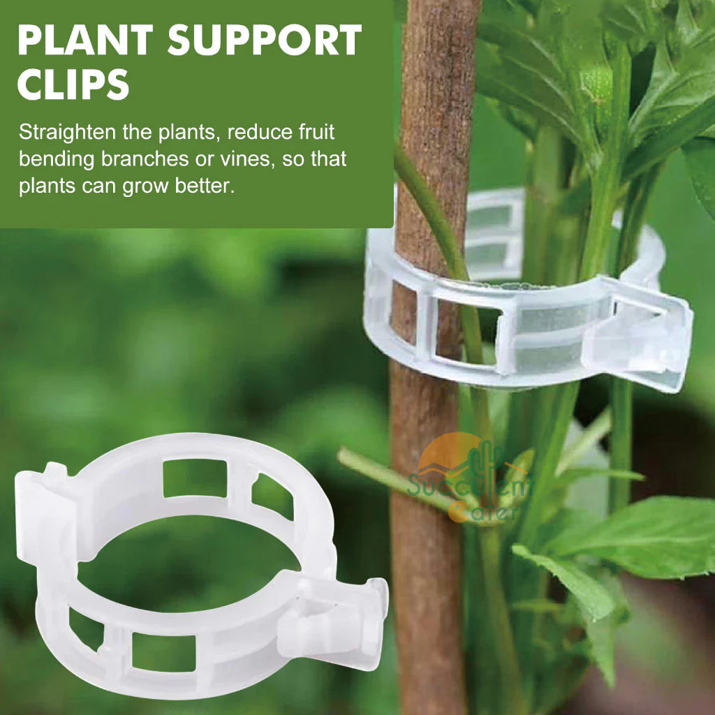 BowLift | Plant support clip for climbing plants – Flexible holder for plant stems