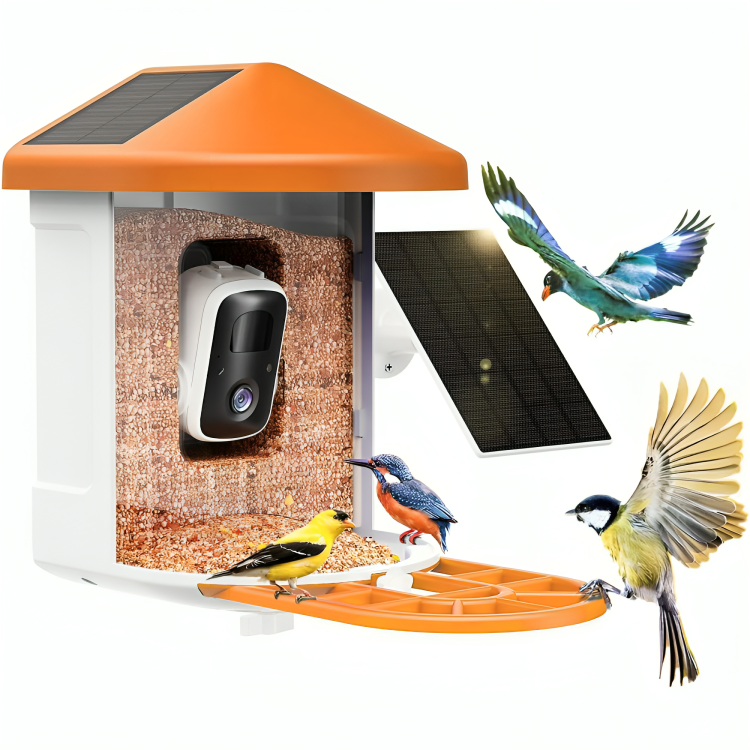 BowLift | Bird Feeder Camera Solar Smart Outdoor Device