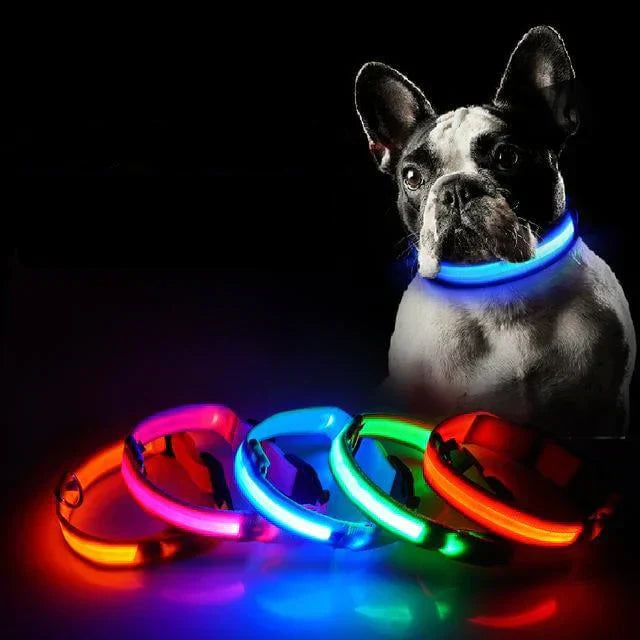 BowLift | GlowPets LED Collar – Safety & Visibility for Pets