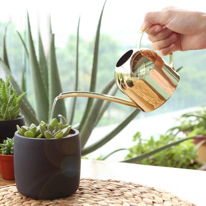 BowLift | AquaGrace Stainless Steel Watering Can with Flexible Neck | Modern Design | Perfect Watering | Rustproof