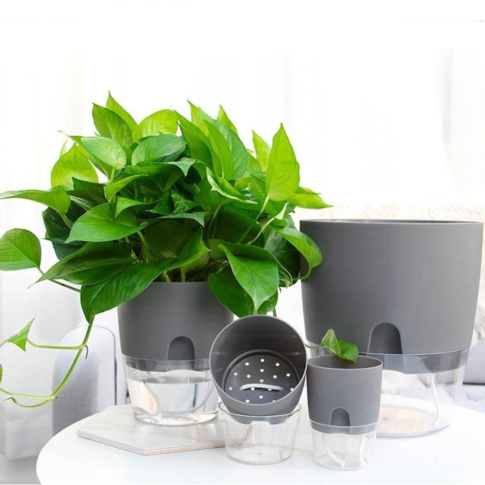 BowLift | Self-watering Plant Pot with Water Container