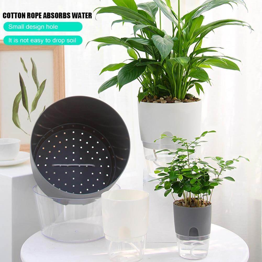 BowLift | Self-watering Plant Pot with Water Container